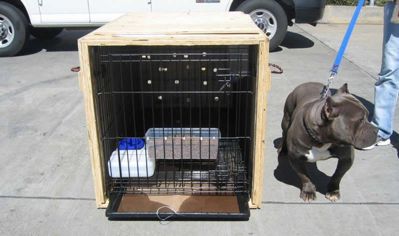 Custom/Modified Pet Shipping Crates - Pet Air Carrier, LLC